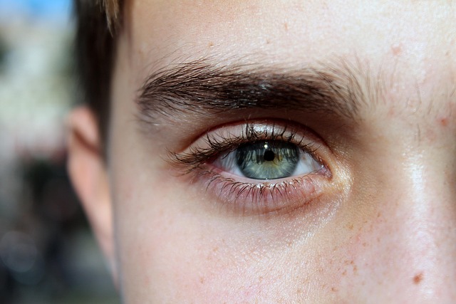 sourcils selon visage